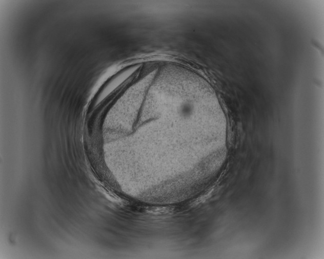 X0000097780056200804041222