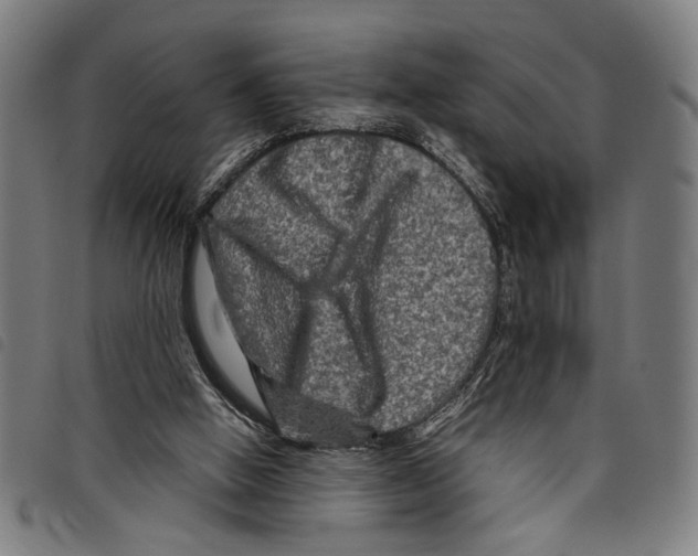 X0000097780058200804041223