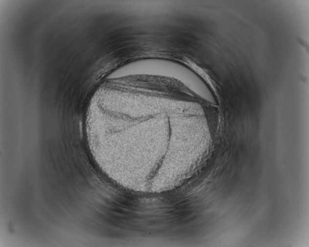 X0000097780061200804041223