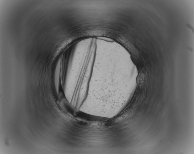 X0000097780064200804041223