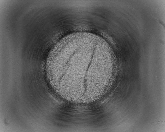 X0000097780065200804041223