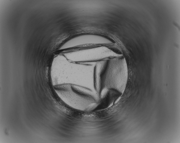 X0000097780066200804041223