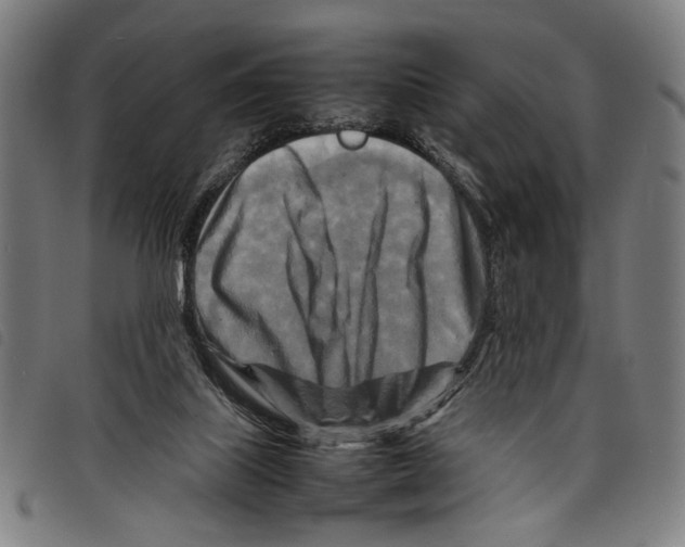 X0000097780067200804041223