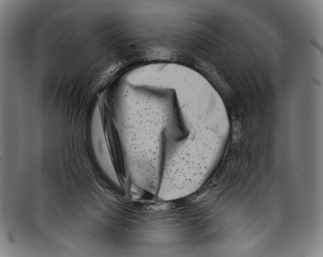 X0000097780068200804041223