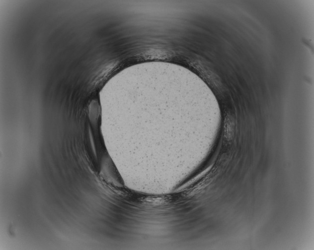 X0000097780070200804041223