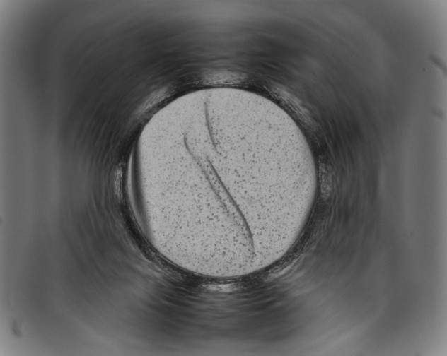 X0000097780071200804041223