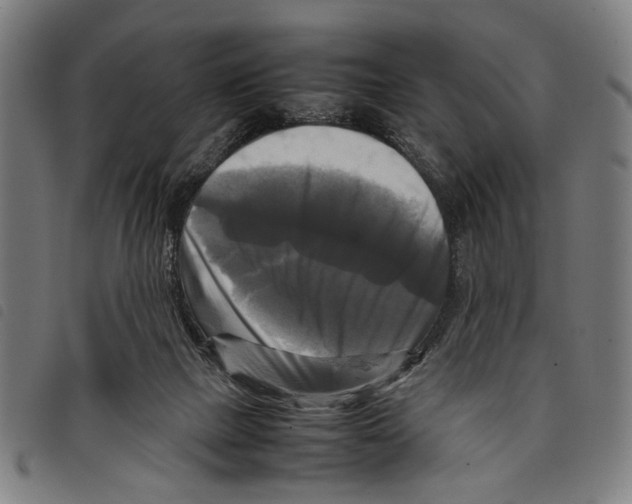 X0000097780073200804041223