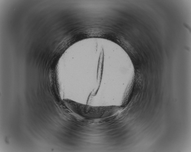 X0000097780074200804041223