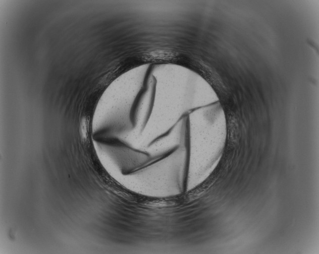 X0000097780075200804041223