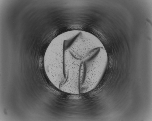 X0000097780077200804041223