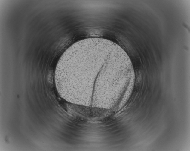 X0000097780078200804041223