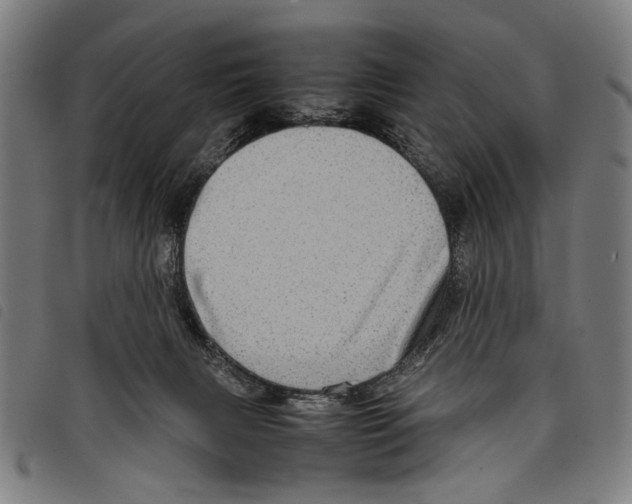 X0000097780079200804041223