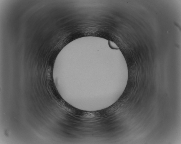 X0000097780083200804041223