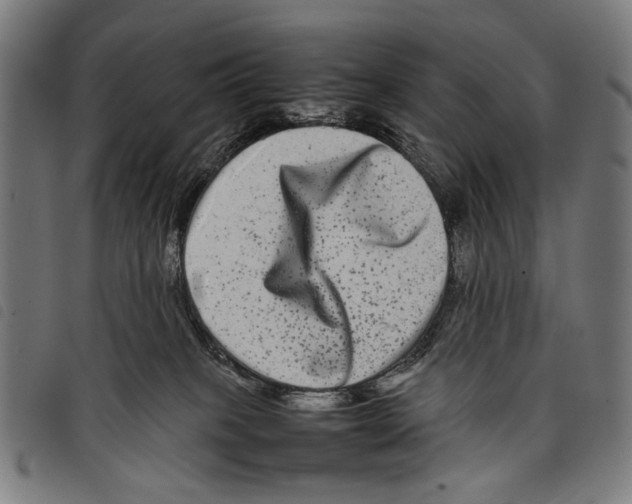 X0000097780085200804041223