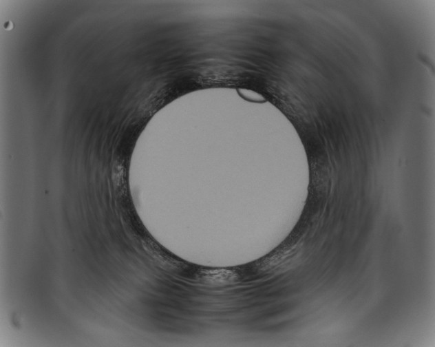 X0000097780087200804041223