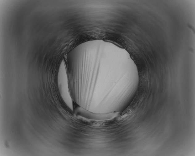 X0000097780088200804041223