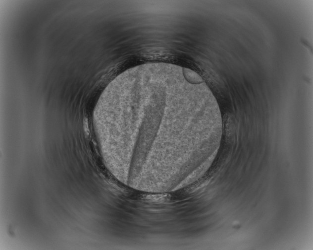 X0000097780089200804041223