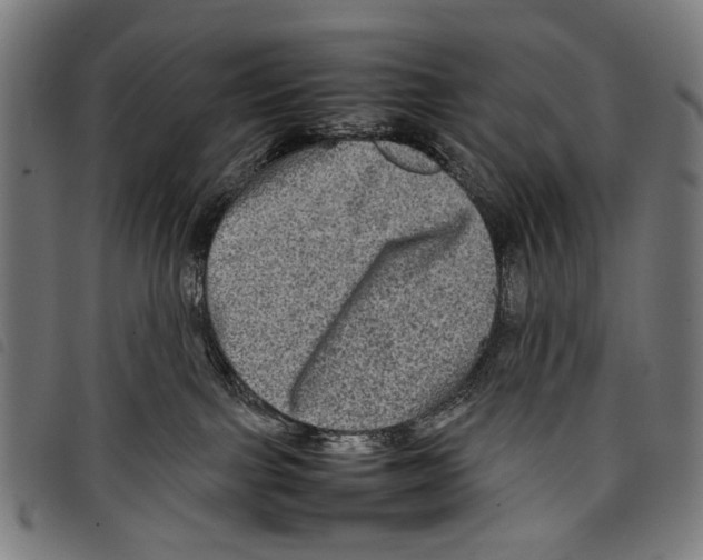 X0000097780091200804041223