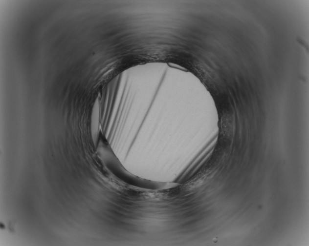 X0000097780092200804041223