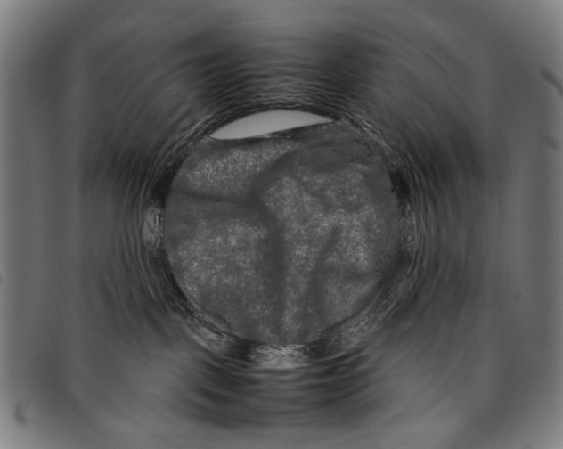 X0000097780093200804041223