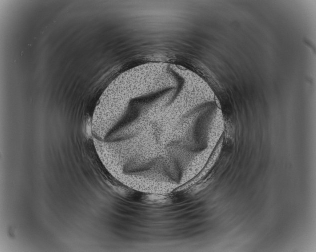 X0000097780095200804041223