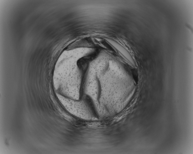 X0000097780097200804041222