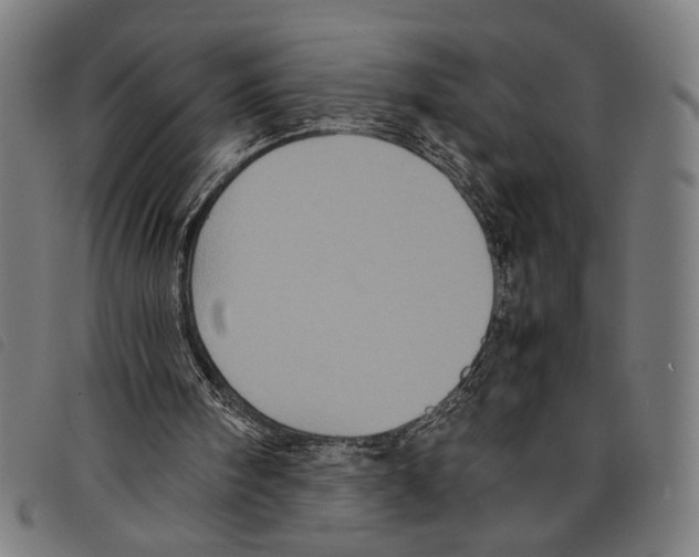 X0000097780098200804041222