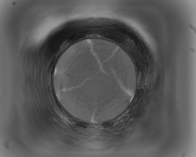 X0000097780099200804041222