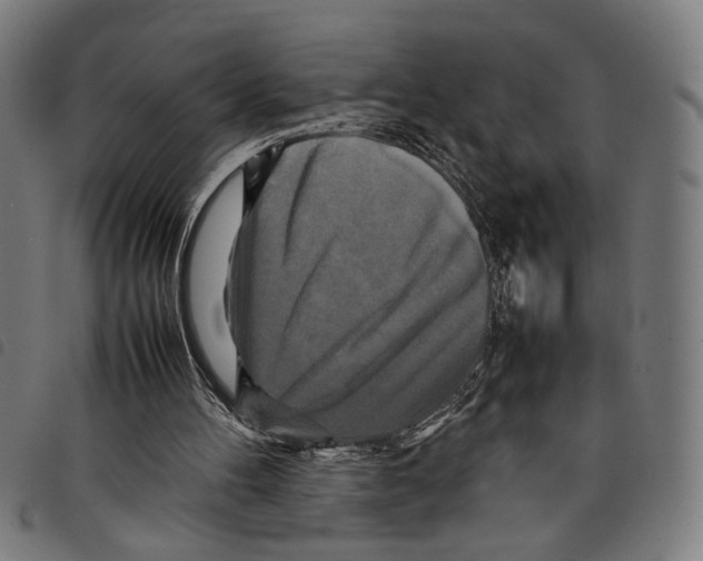 X0000097780100200804041222