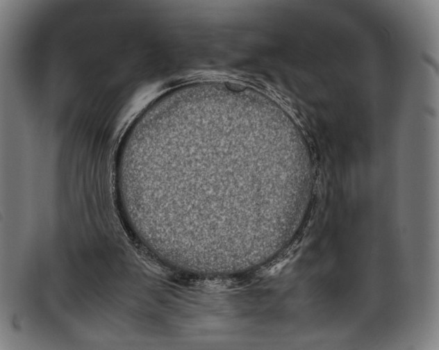 X0000097780103200804041222