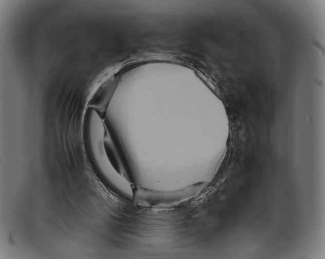 X0000097780104200804041222