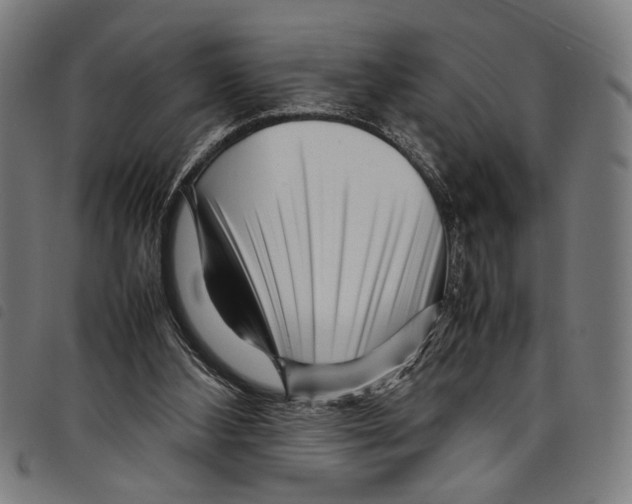 X0000097780108200804041222