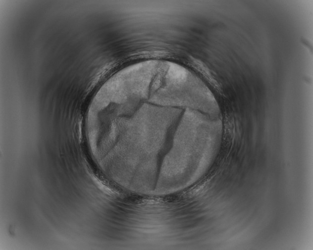 X0000097780110200804041222