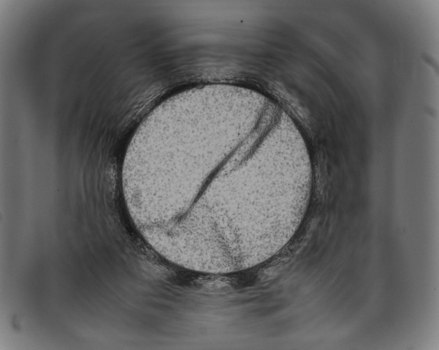 X0000097780113200804041222