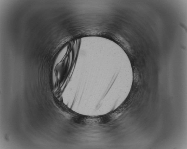 X0000097780115200804041222