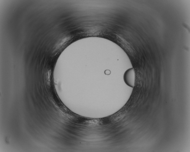 X0000097780118200804041222