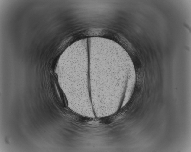 X0000097780119200804041222