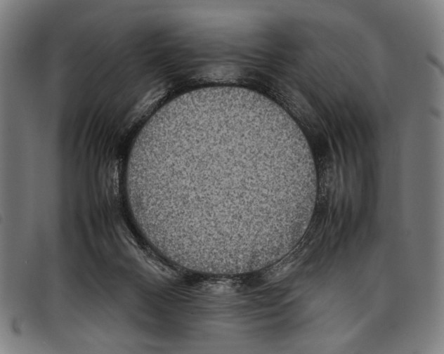 X0000097780120200804041222