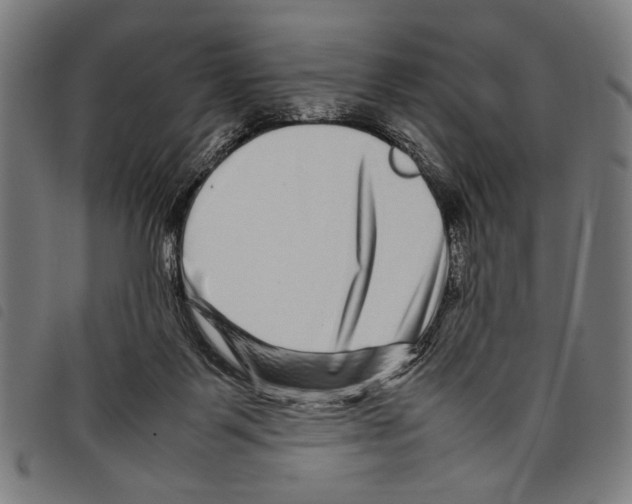 X0000097780123200804041222