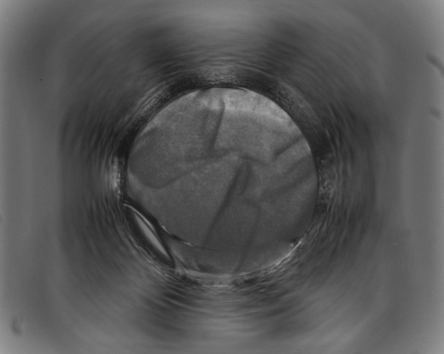 X0000097780124200804041222