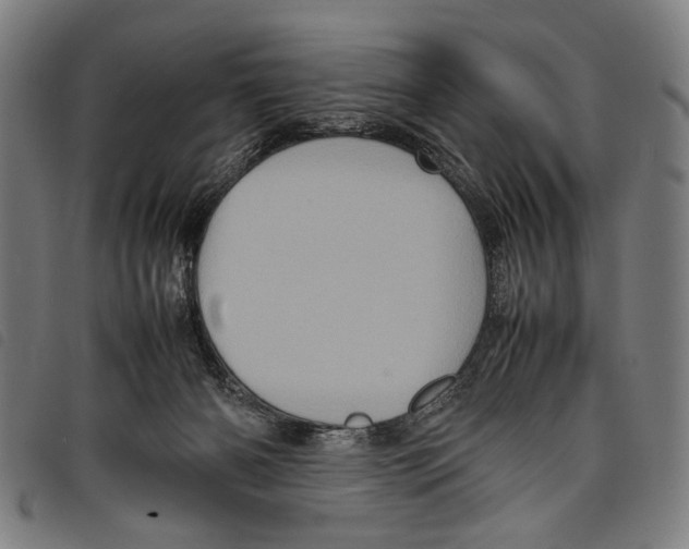 X0000097780126200804041222