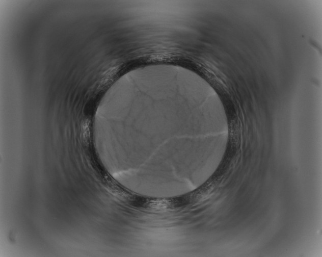 X0000097780127200804041222