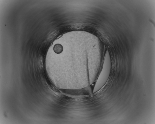 X0000097780128200804041222