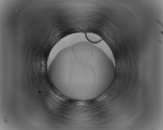 X0000097780130200804041222