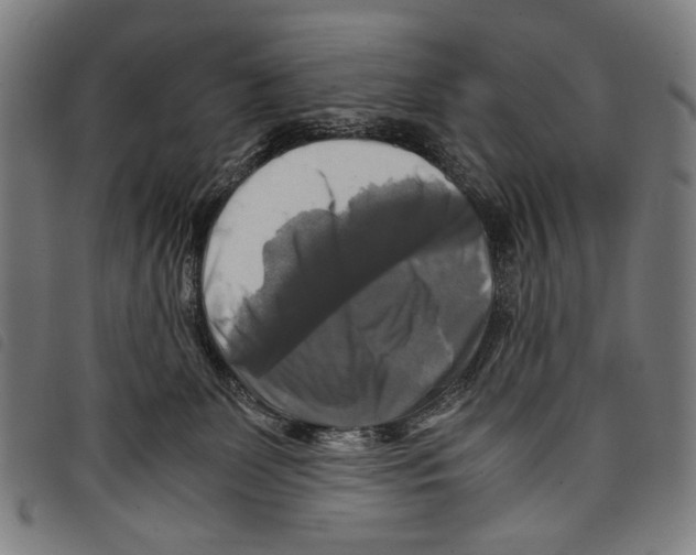 X0000097780131200804041222