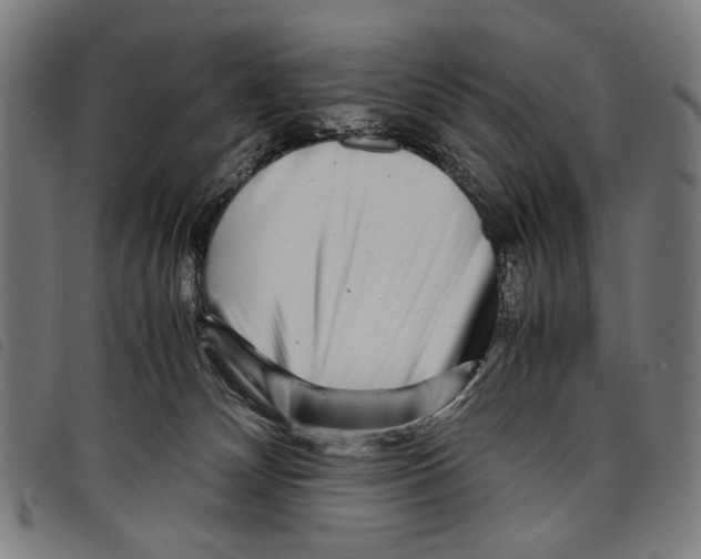 X0000097780132200804041222