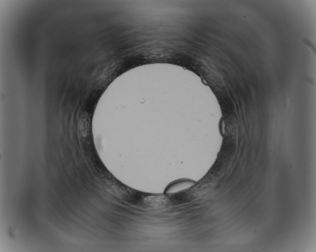 X0000097780133200804041222