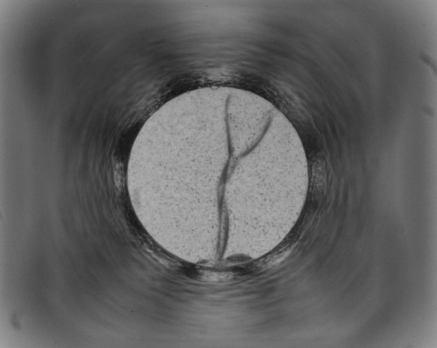 X0000097780135200804041222