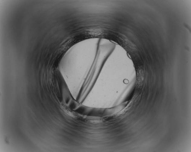 X0000097780136200804041222