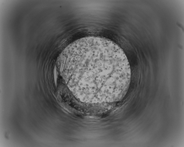 X0000097780137200804041222
